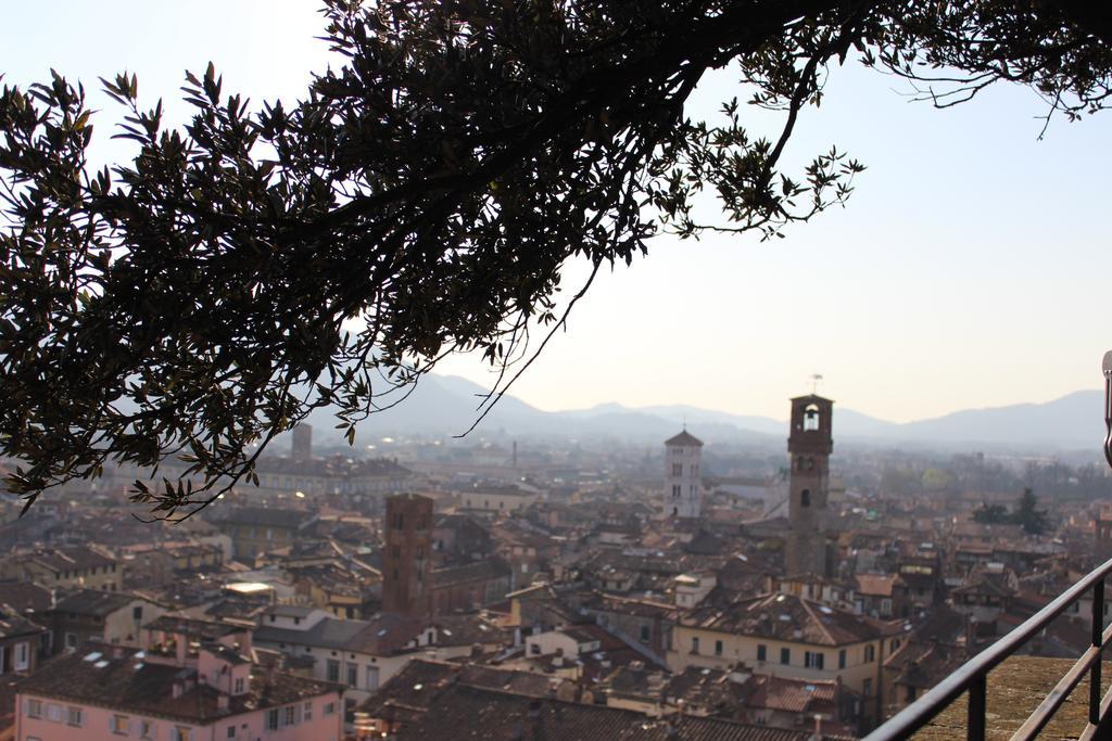 Apartmán La Terrazza Da Ernestina Lucca Exteriér fotografie