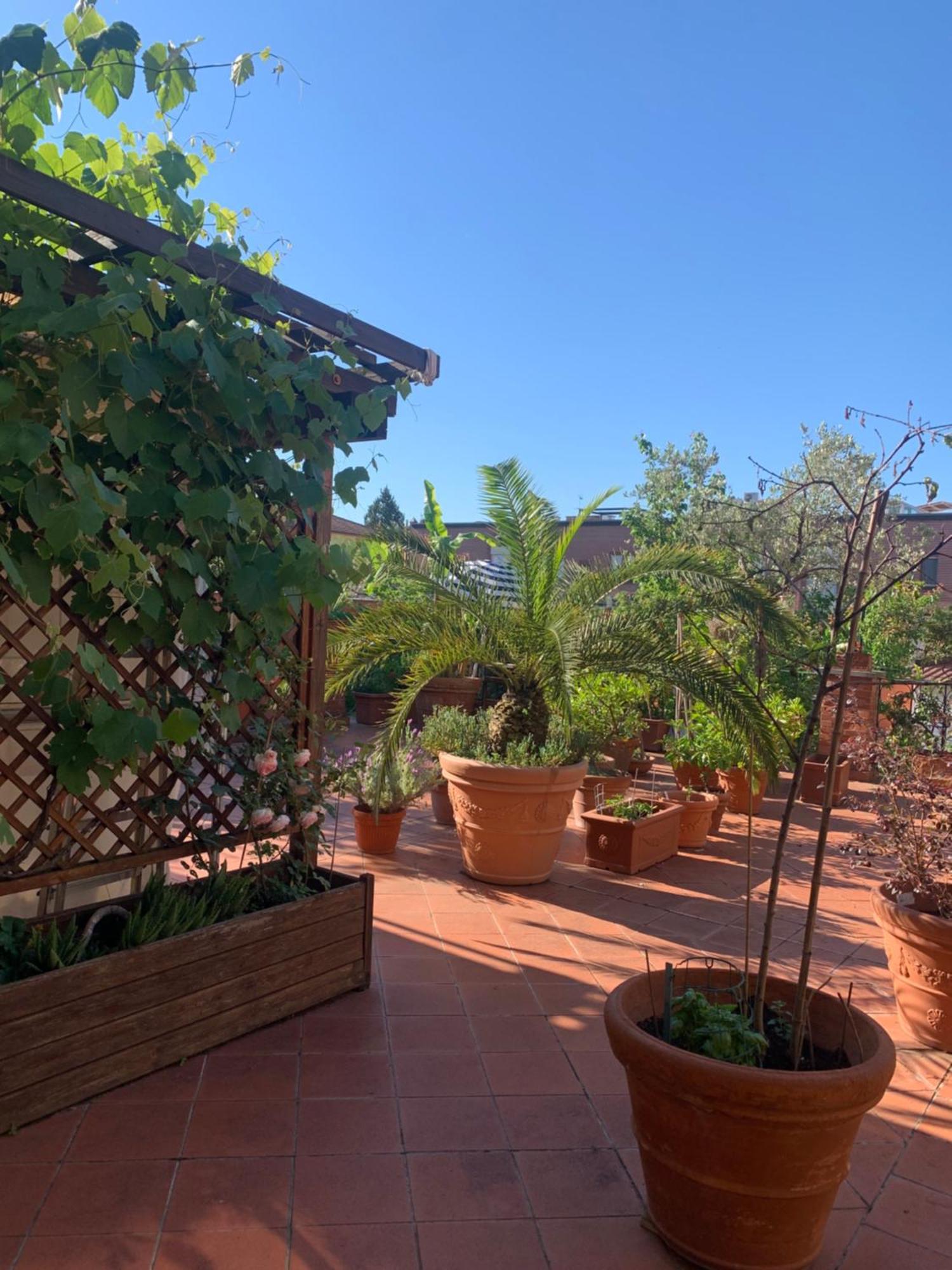 Apartmán La Terrazza Da Ernestina Lucca Exteriér fotografie